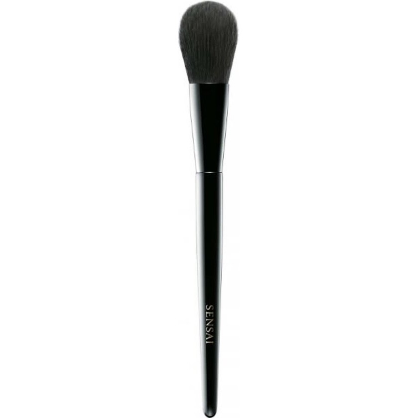 Brush Cheek Kanebo Black