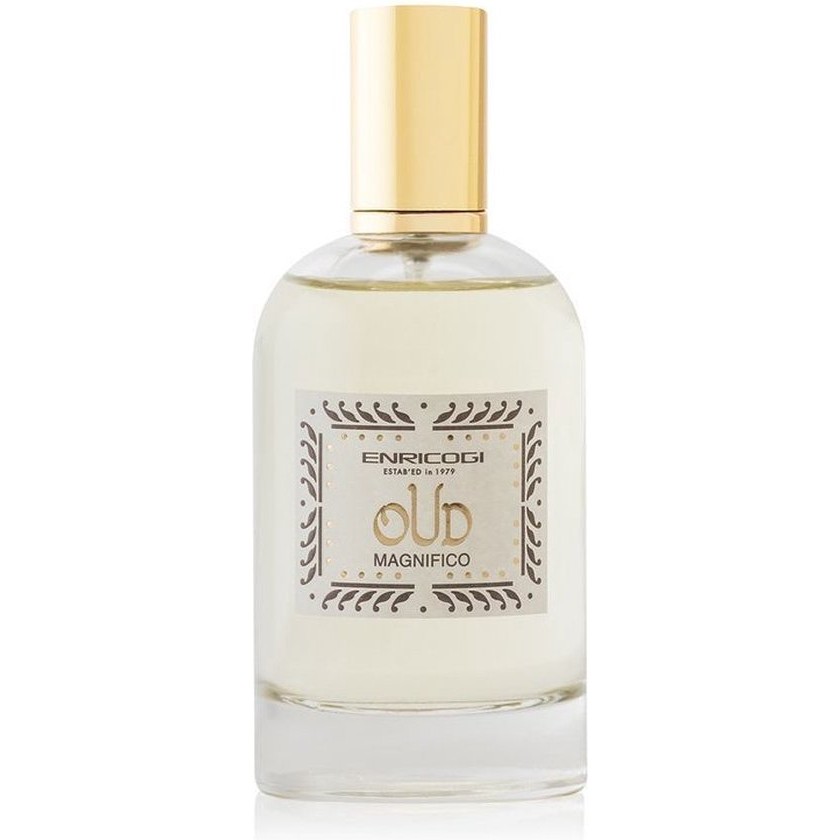 Uniseks Parfum Enrico Gi EDP Oud Magnifico (100 ml)