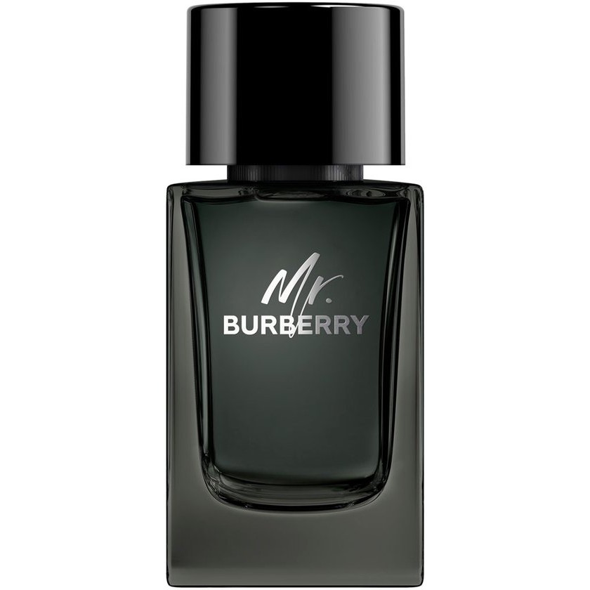 Burberry Mr. Burberry EDP M 100 ml