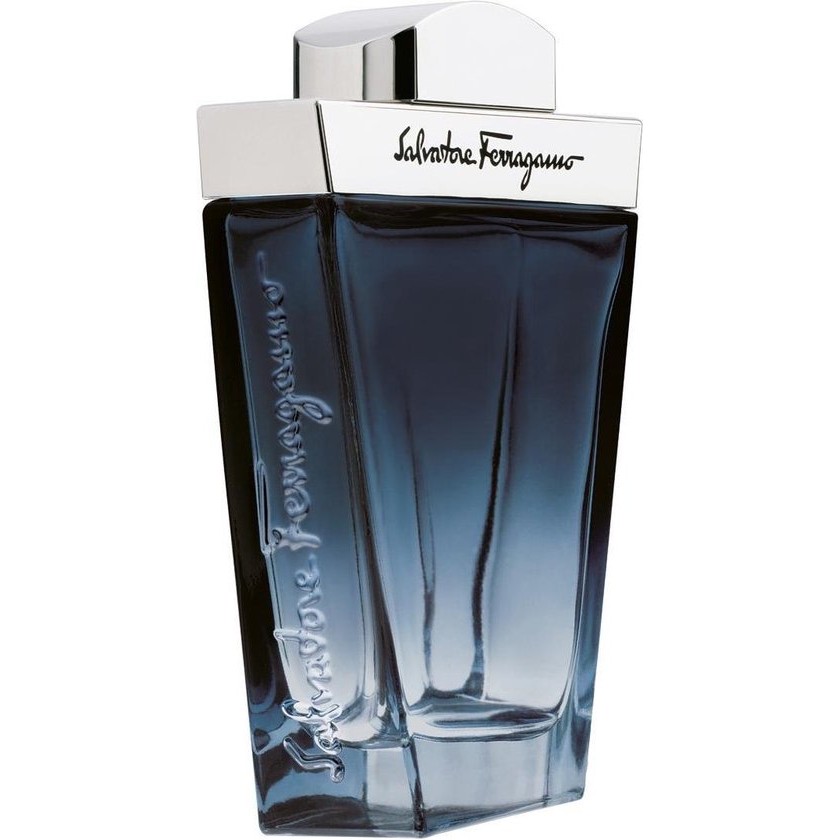 Salvatore Ferragamo Subtil Pour Homme Eau de Toilette 100ml Spray