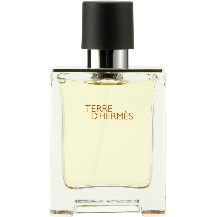 Hermès Terre D’Hermes EDT M 50 ml