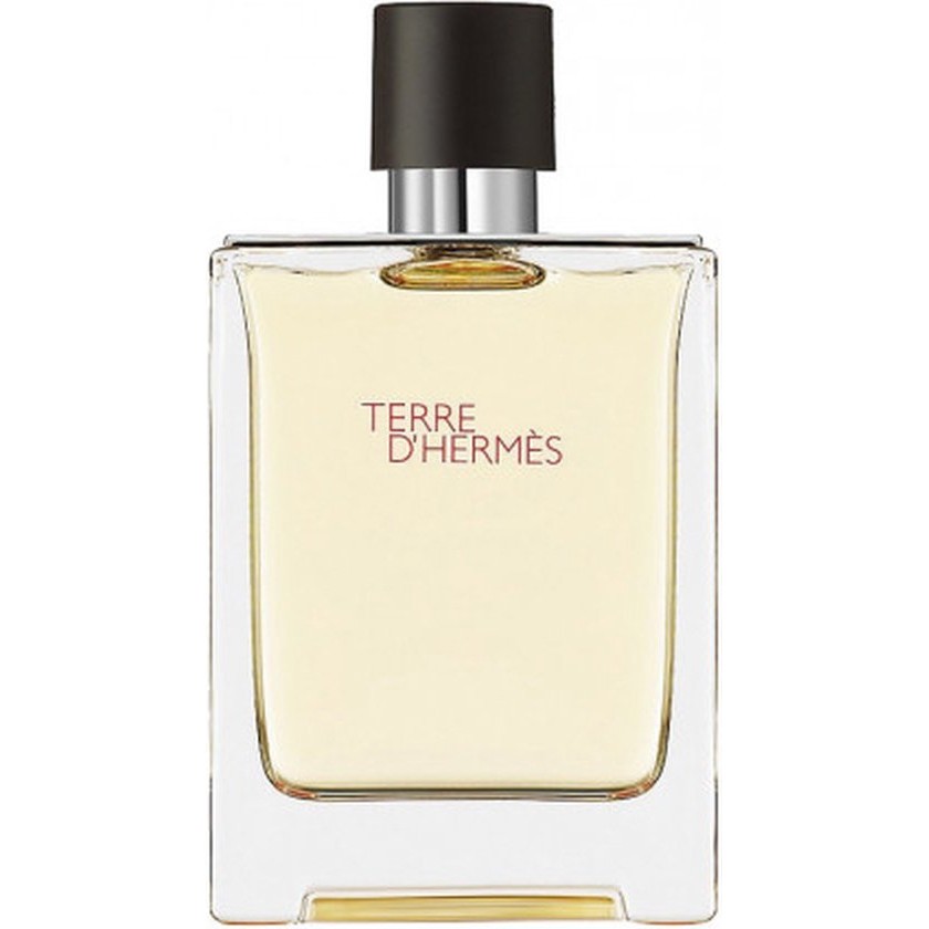 Hermes Terre D’Hermes EDT M 100 ml