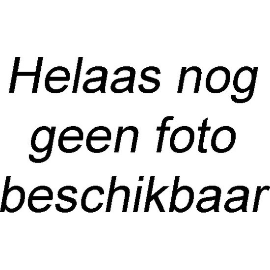 MAC 209 Eyeliner Brush