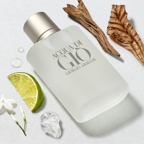 Giorgio Armani Acqua Di Gio Pour Homme (m) Edt 100 Ml Fr
