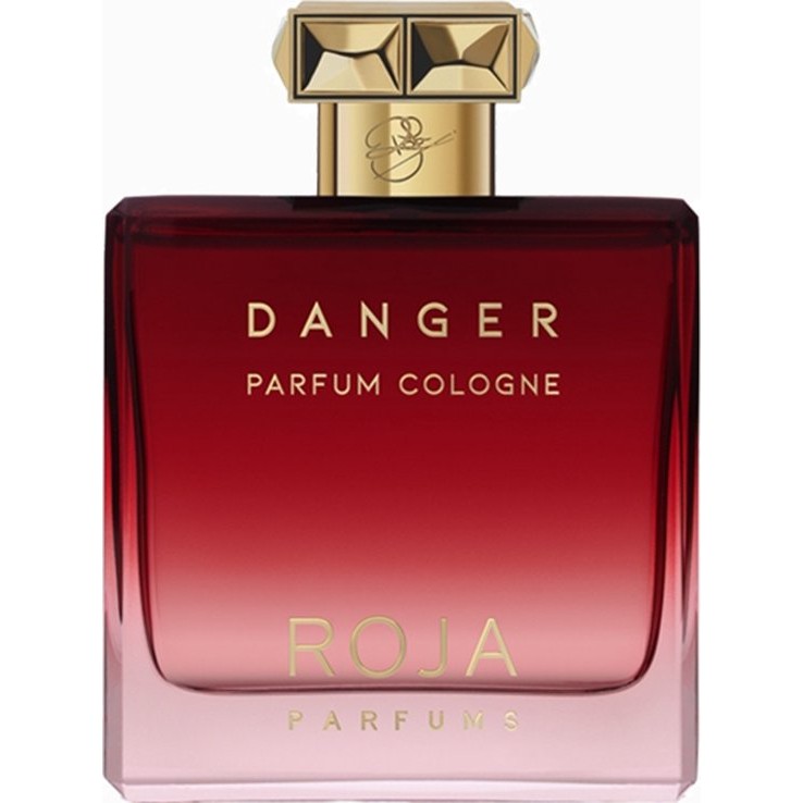 Roja Danger by Roja Parfums 100 ml – Extrait De Parfum Spray