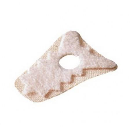 Discs Calluses Rooster Eyes Maf