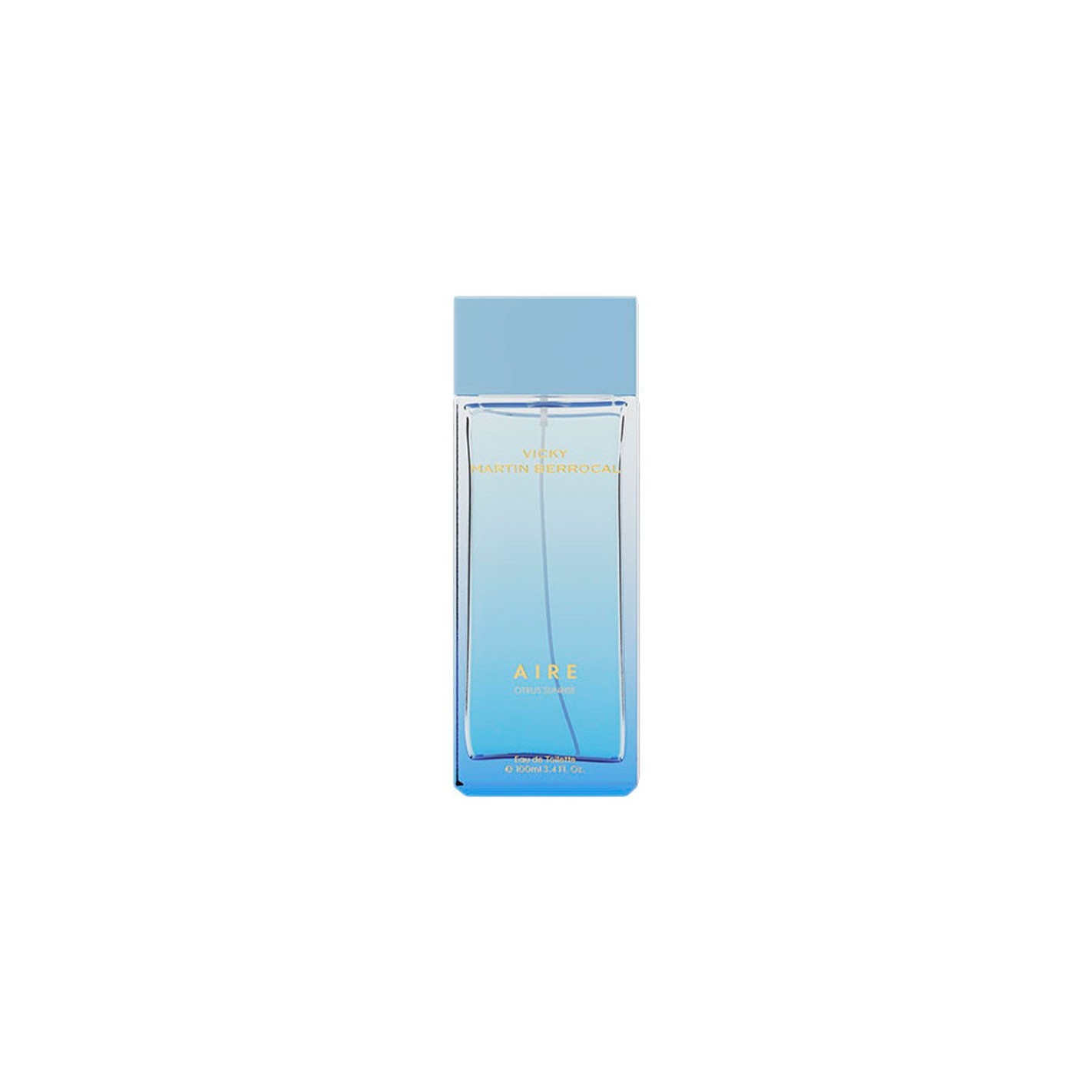 Vicky Martin Berrocal Aire Eau De Toilette Spray 100ml